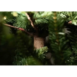 Albero di Natale Illuminato Anthony 2000LED h210Ø148cm PE+PVC