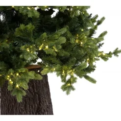 Albero di Natale Illuminato Darcy con Tronco 1450LED h240Ø145cm PE+PVC