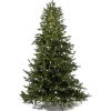 Albero di Natale Illuminato Anthony 2550LED h240Ø168cm PE+PVC