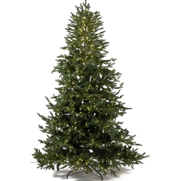 Albero di Natale Illuminato Anthony 2550LED h240Ø168cm PE+PVC