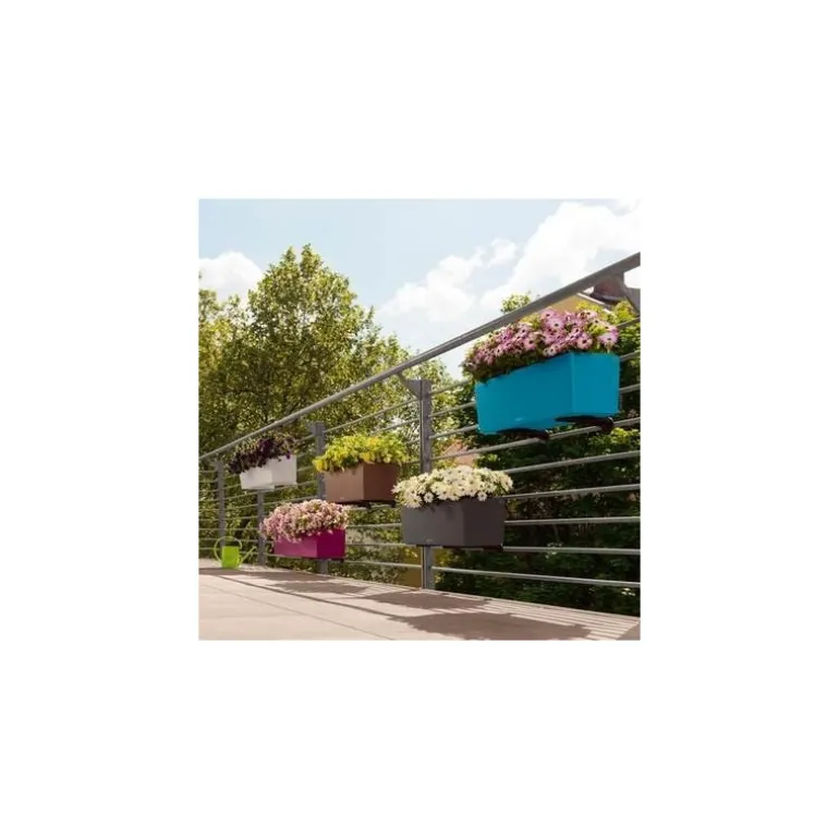 Balconera Color 50 Lechuza Set Completo