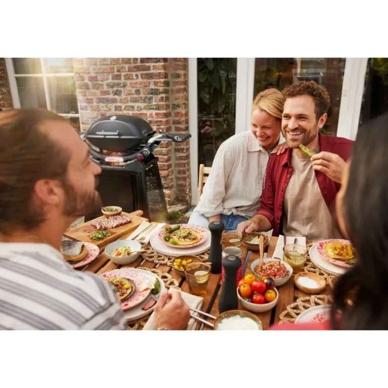 Barbecue Weber a Gas Q 2800N+ Con Carrello Premium Black Cod. 1501123