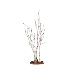 Birch Tree Medium Cod. 34967