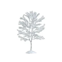 Black Walnut Tree Cod. 64094