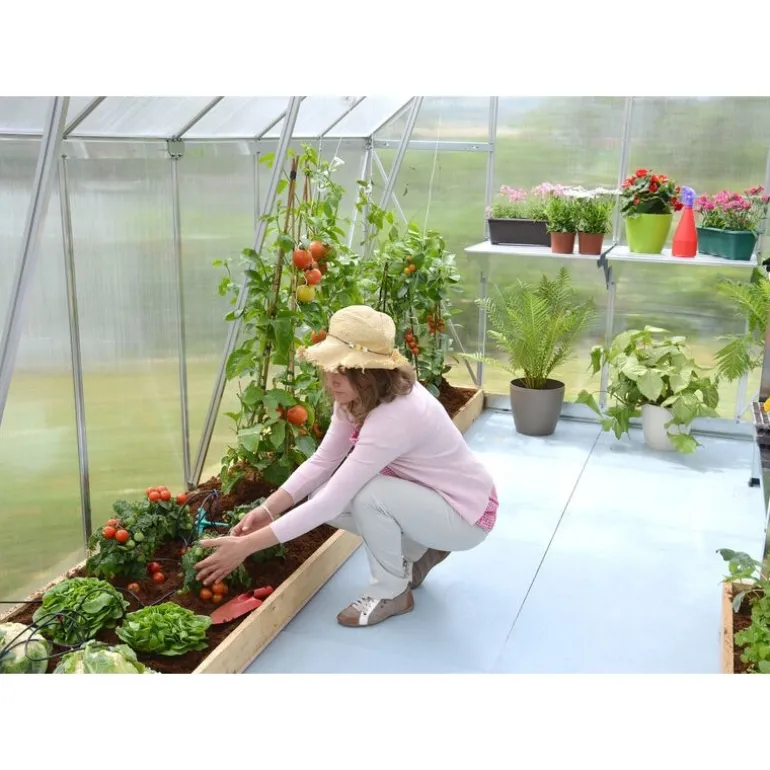 Canopia Essence Doppio Strato Serra Da Giardino in Policarbonato 367X244X229 cm Argento