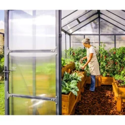 Canopia Glory Serra Da Giardino in Policarbonato di Premium 244X253X268 cm