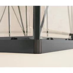 Canopia Harmony Trasparente Serra Da Giardino in Policarbonato 247X185X208 cm Grigio