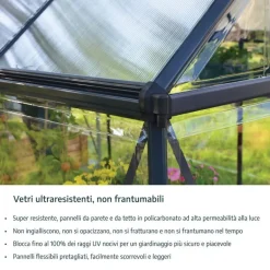 Canopia Harmony Trasparente Serra Da Giardino in Policarbonato 247X185X208 cm Grigio