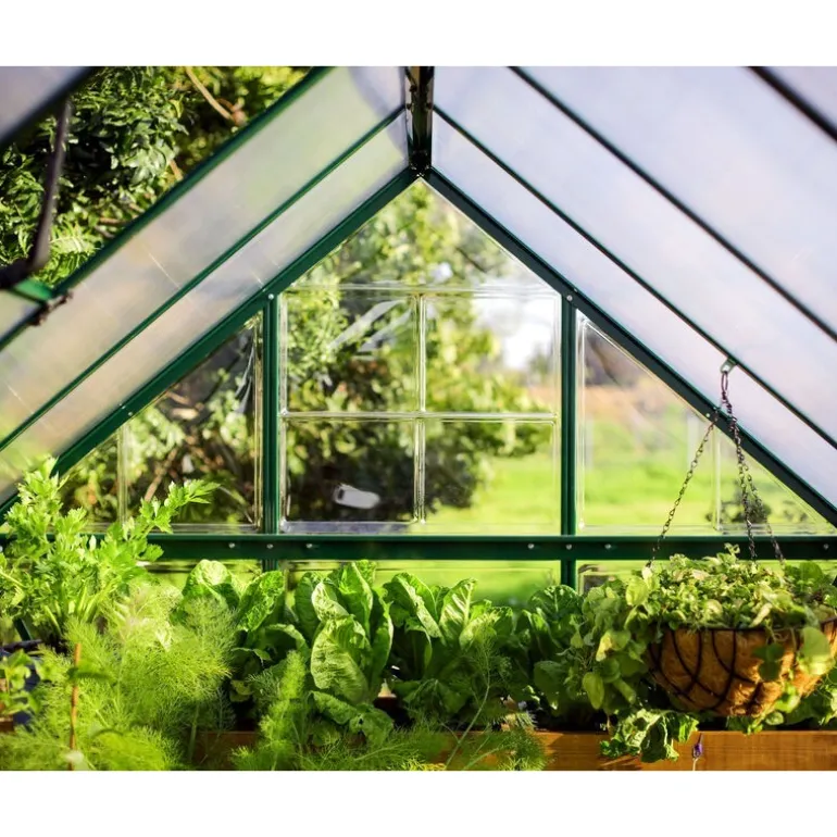 Canopia Hybrid Serra Da Giardino in Policarbonato 126X185X208 cm Verde