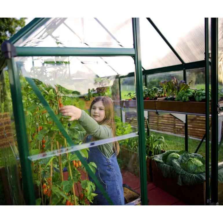 Canopia Hybrid Serra Da Giardino in Policarbonato 126X185X208 cm Verde