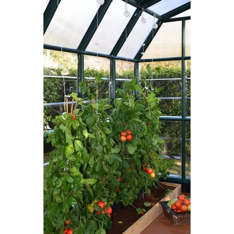 Canopia Kit Traliccio Per Serra