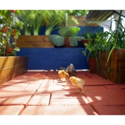 Canopia Mythos Doppio Strato Serra Da Giardino in Policarbonato 126X185X208 cm Argento