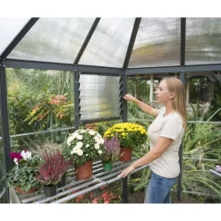 Canopia Oasis Serra Da Giardino in Policarbonato Esagonale 247X213X267 cm Grigio