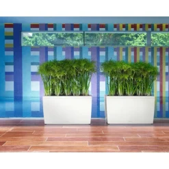 Fioriera Cararo 75 Lechuza Set Completo