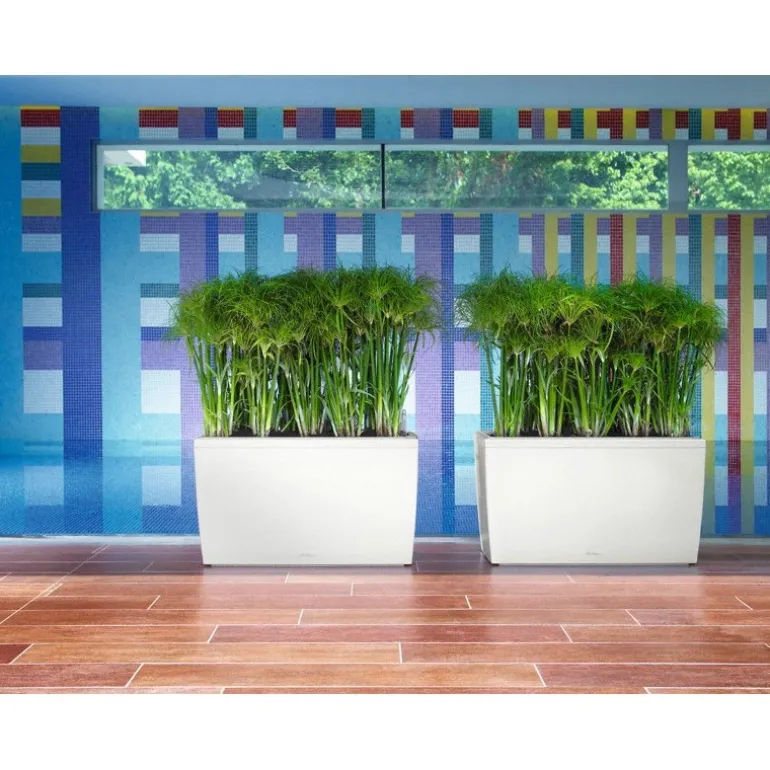 Fioriera Cararo 75 Lechuza Set Completo