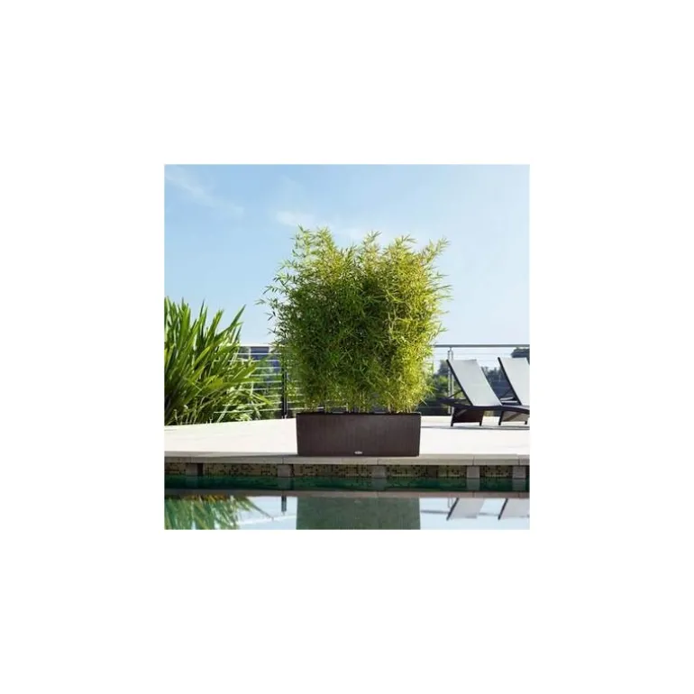 Fioriera Trio Cottage 30 Lechuza Set Completo