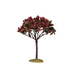 Linden Tree, Medium Cod. 44797