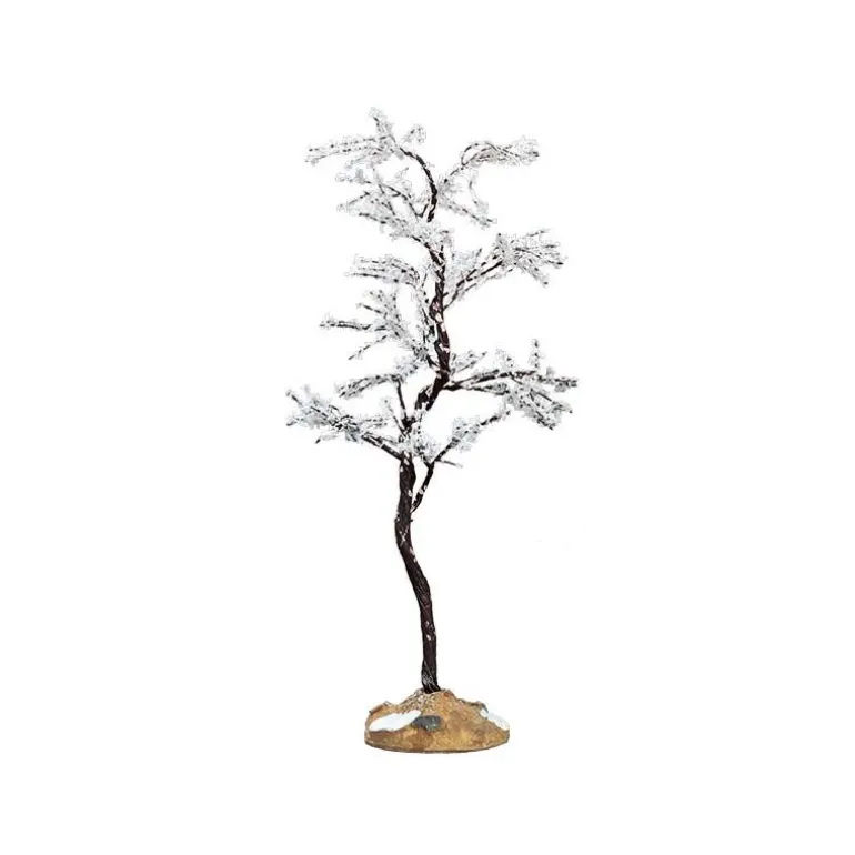 Morning Dew Tree, Medium Cod. 74250