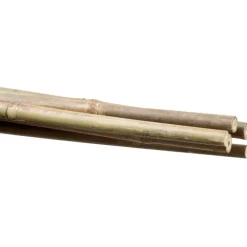 Stocker Reggipiante in bambù 14 16 mm 180 cm