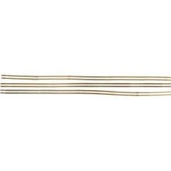 Stocker Tutori in bambù sfusi 240 / diametro 22 24 - 1 pezzo