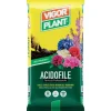 Terriccio Acidofile 70 litri Vigorplant