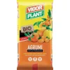 Terriccio Agrumi 45 litri Vigorplant