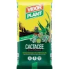 Terriccio Cactacee 5 litri Vigorplant