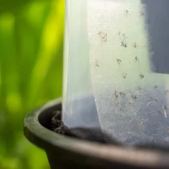 Trappola da esterno per zanzara tigre Biogents BG-GAT Reflect-tech (X2)