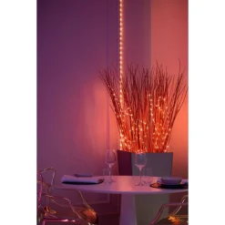 Twinkly DOTS Striscia 3 m 60 Led RGB USB BT + WiFi Cavo Trasparente