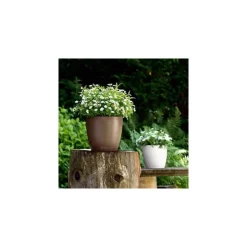 Vaso Classico Color 35 Lechuza Set Completo