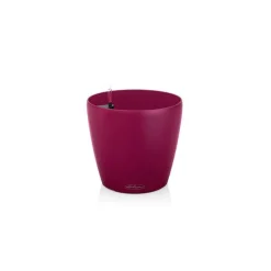 Vaso Classico Color 21 Lechuza Set Completo