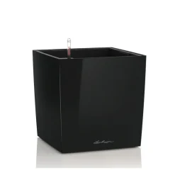 Vaso Cube 50 Lechuza Set Completo