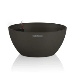 Vaso Cubeto 40 Lechuza Set Completo