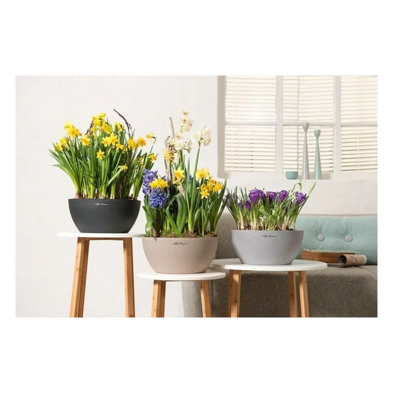 Vaso Cubeto 40 Lechuza Set Completo