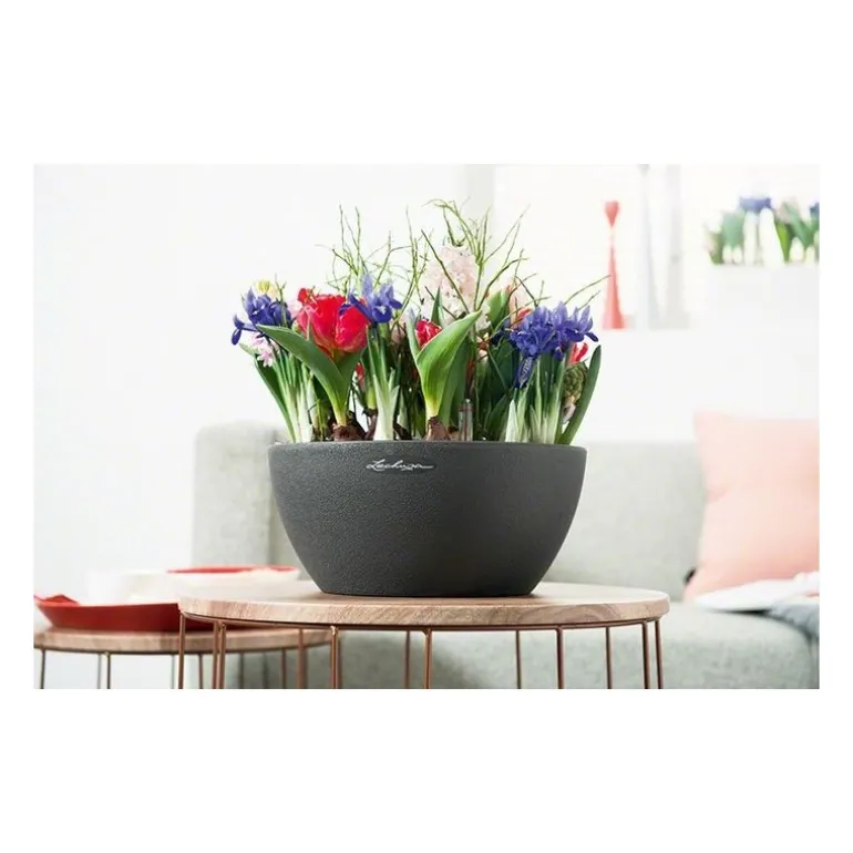 Vaso Cubeto 30 Lechuza Set Completo