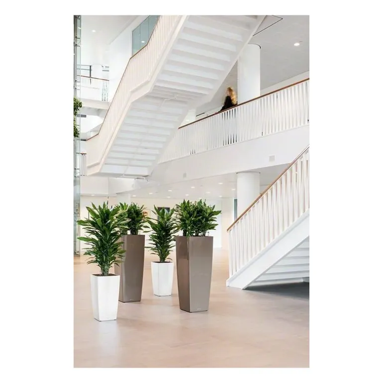 Vaso Cubico Alto Lechuza Set Completo