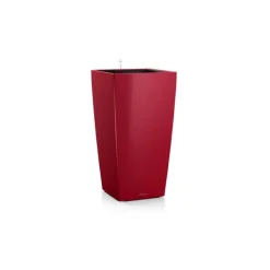 Vaso Cubico Premium 22 Lechuza Set Completo