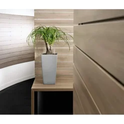 Vaso Cubico Premium 22 Lechuza Set Completo