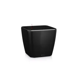 Vaso Quadro Premium 21 Lechuza Set Completo