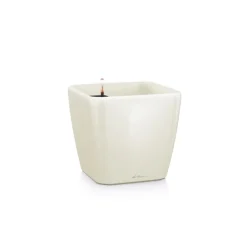 Vaso Quadro Premium 43 Lechuza Set Completo