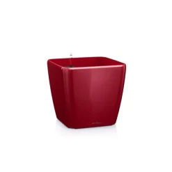 Vaso Quadro Premium 35 Lechuza Set Completo